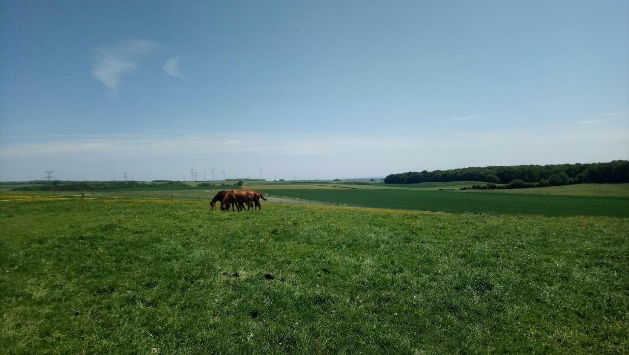 Jad Ranch Hotel Raucourt-et-Flaba Eksteriør billede